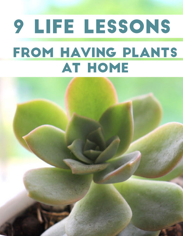 Life Lessons You can Learn From Your Plants